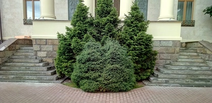 КП МОНОЛИТ у Максима Фадеева